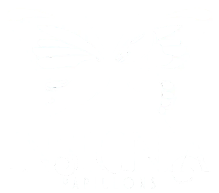2insignia