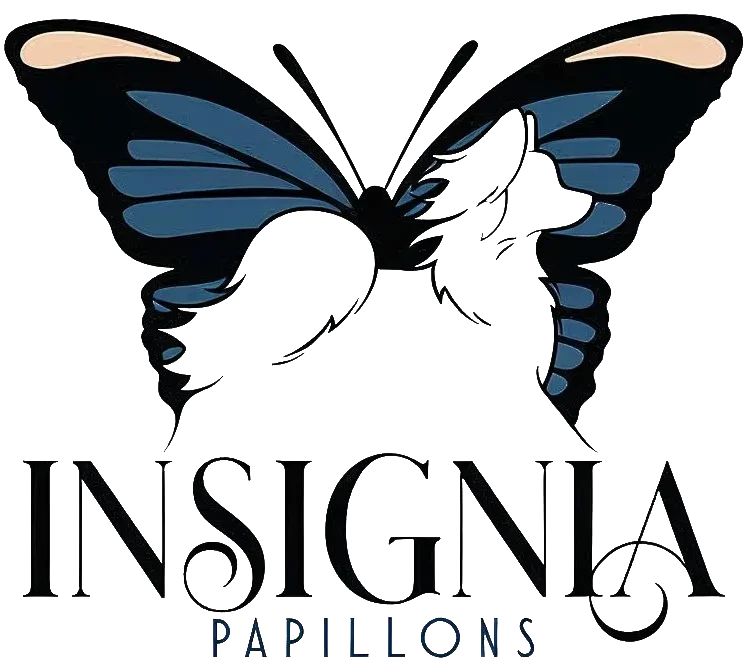 logo copy
